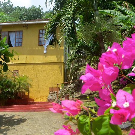 La Familia Guest House And Natural Farm 포트안토니오 외부 사진