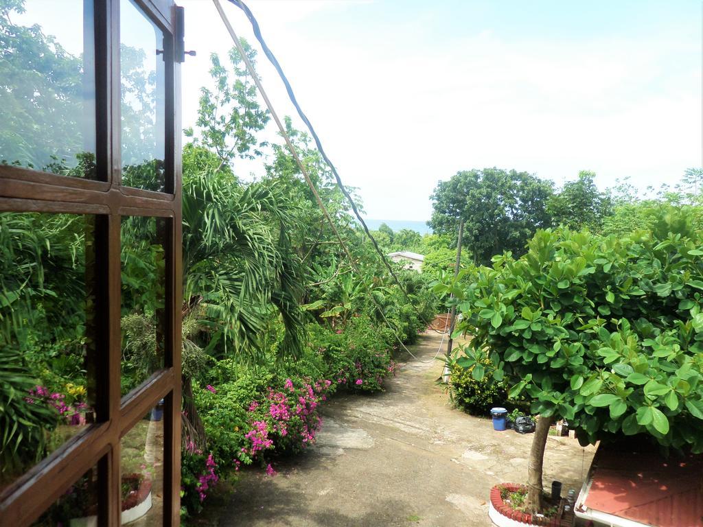 La Familia Guest House And Natural Farm 포트안토니오 외부 사진